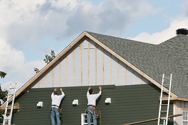 Best Stone Veneer Siding  in Princevle, IL